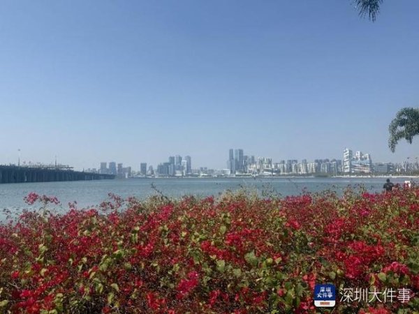 从金融高地到湾区片场，前海如何炼成影视“新质生产力”
