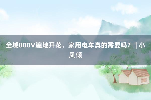 全域800V遍地开花，家用电车真的需要吗？ | 小凤倾
