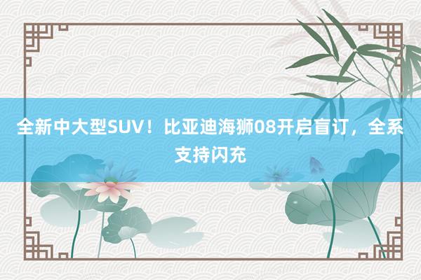 全新中大型SUV！比亚迪海狮08开启盲订，全系支持闪充