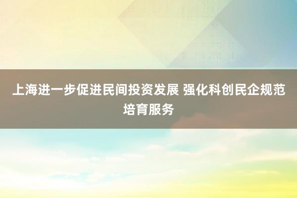 上海进一步促进民间投资发展 强化科创民企规范培育服务