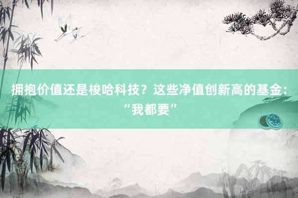 拥抱价值还是梭哈科技？这些净值创新高的基金：“我都要”