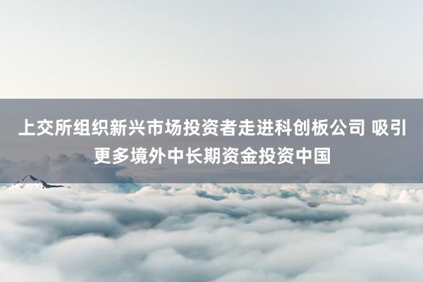 上交所组织新兴市场投资者走进科创板公司 吸引更多境外中长期资金投资中国