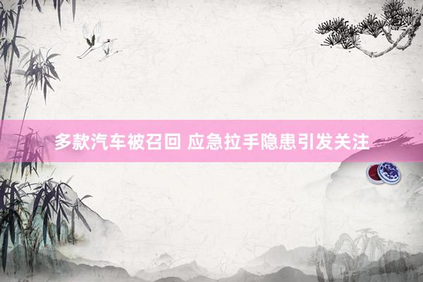 多款汽车被召回 应急拉手隐患引发关注