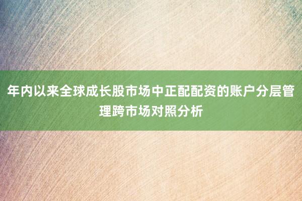 年内以来全球成长股市场中正配配资的账户分层管理跨市场对照分析