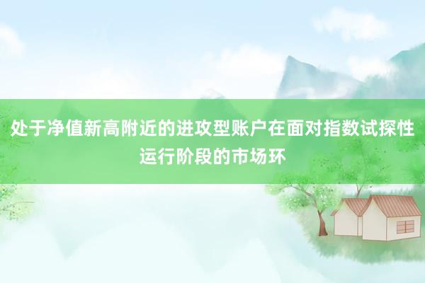 处于净值新高附近的进攻型账户在面对指数试探性运行阶段的市场环