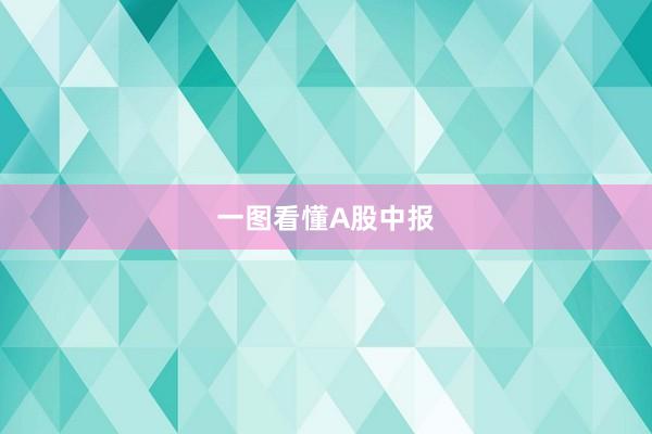 一图看懂A股中报