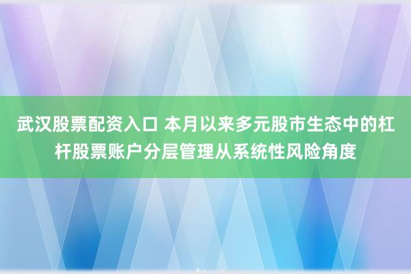武汉股票配资入口 本月以来多元股市生态中的杠杆股票账户分层管理从系统性风险角度